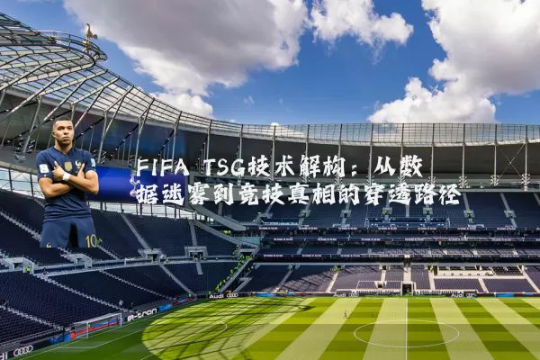 FIFA TSG技术解构:从数据迷雾到竞技真相的穿透路径